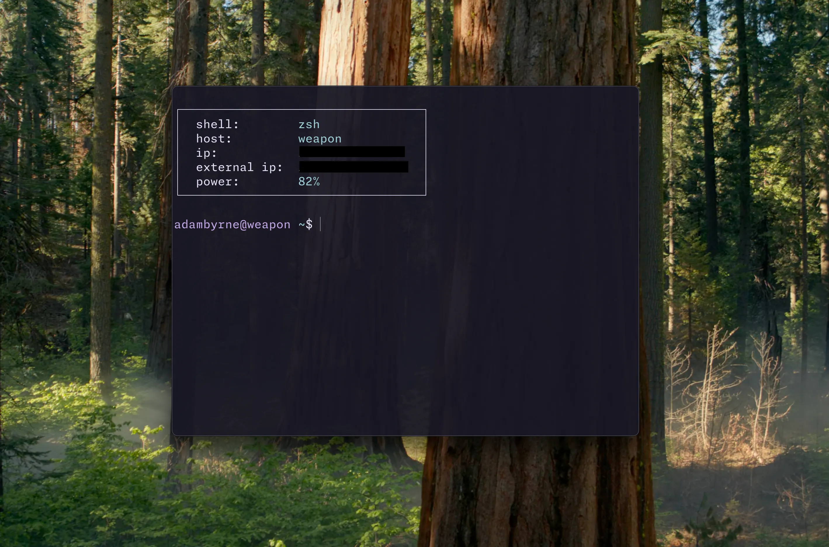 fetch prompt preview